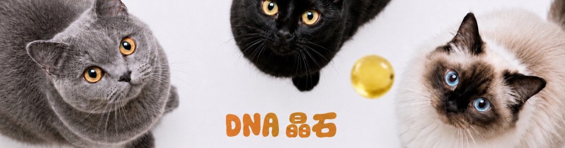 DNA晶石常見問題