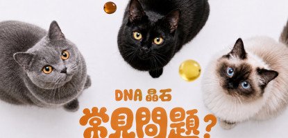 DNA晶石常見問題