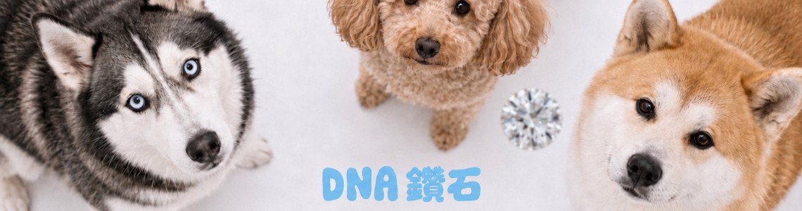 DNA鑽石常見問題