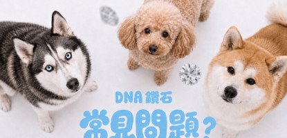 DNA鑽石常見問題
